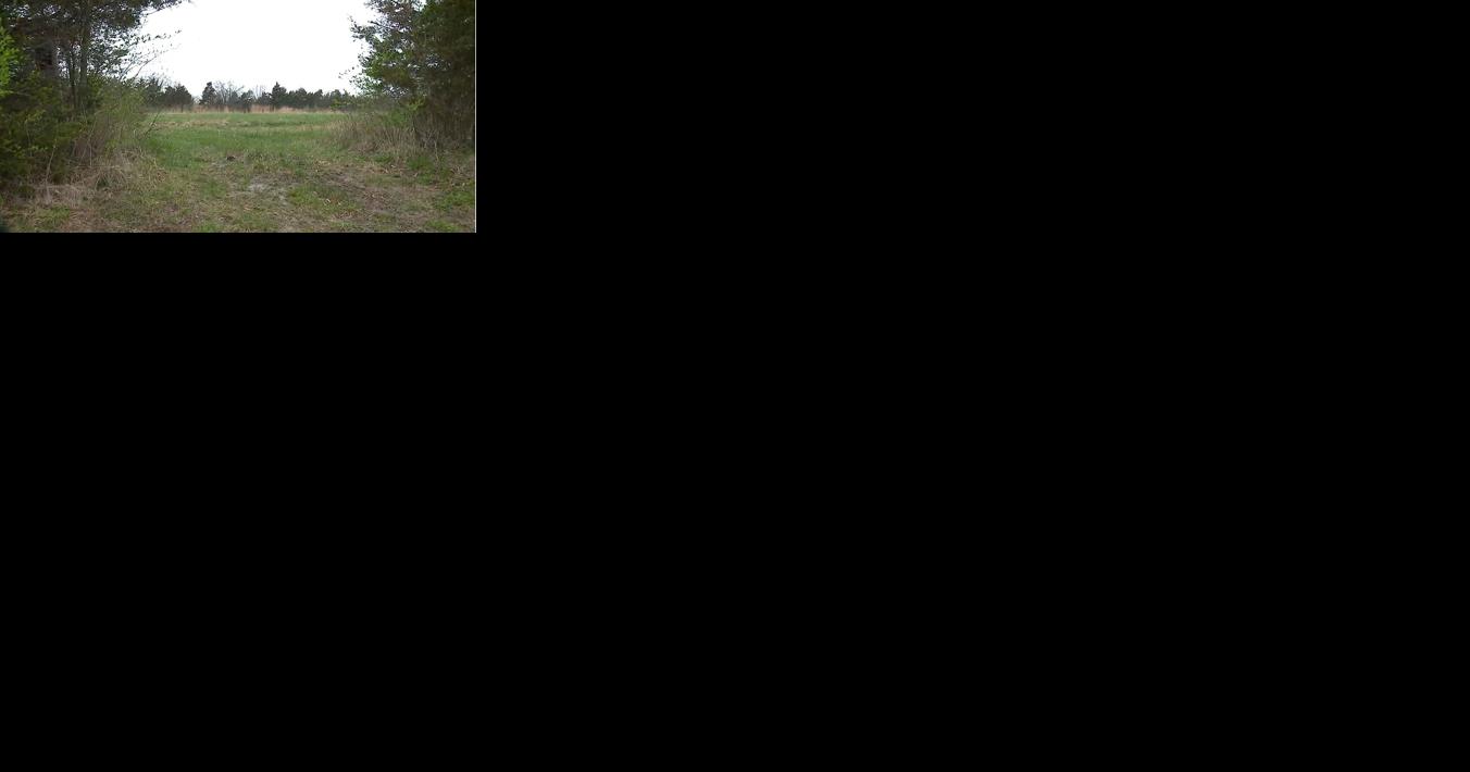 St. Charles County to name new park after Black Civil War veteran - Vimarsana News