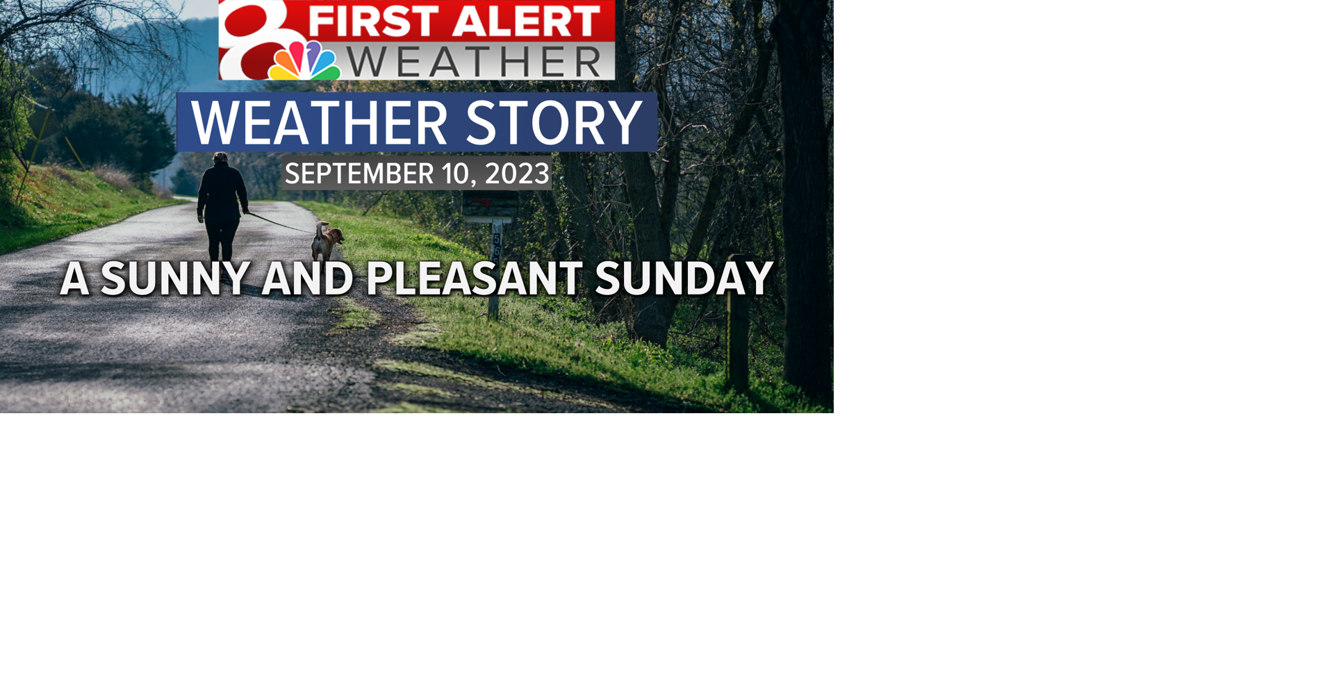 Forecast: A sunny and pleasant Sunday followed by a rainy Monday ...