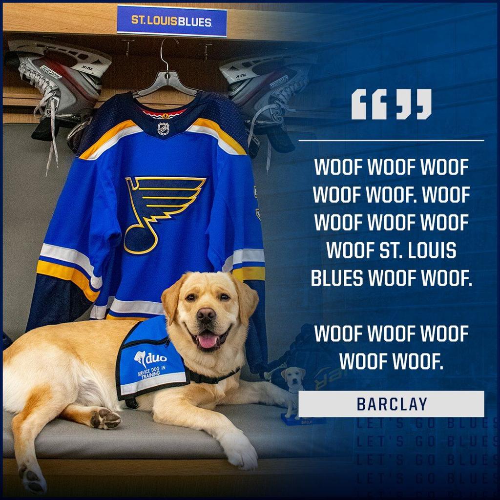 St. Louis Blues sign Barclay the dog to 'contract extension', Pro Sports
