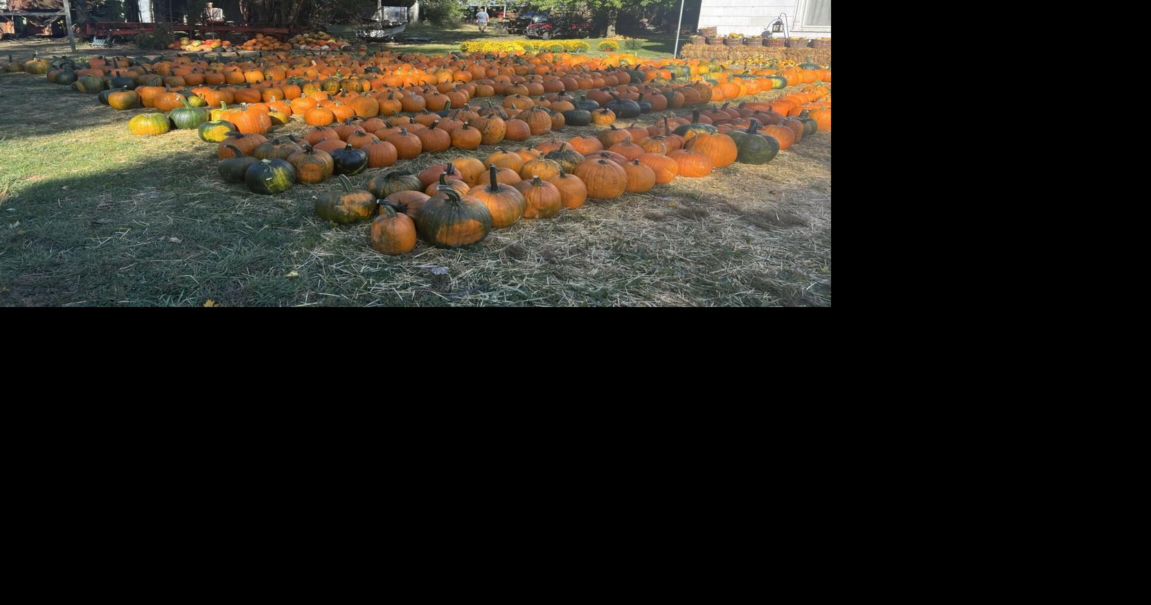 Annual Hartsburg Pumpkin Festival returns this weekend MidMissouri