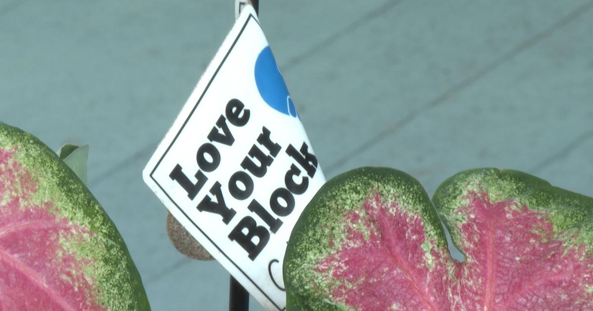 Columbia's 'Love Your Block' Grants Spark Community Revitalization: Transforming Neighborhood Corners