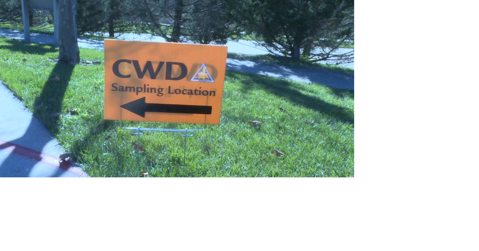 MDC CWD testing requirements added for deer hunting | Mid-Missouri News ...