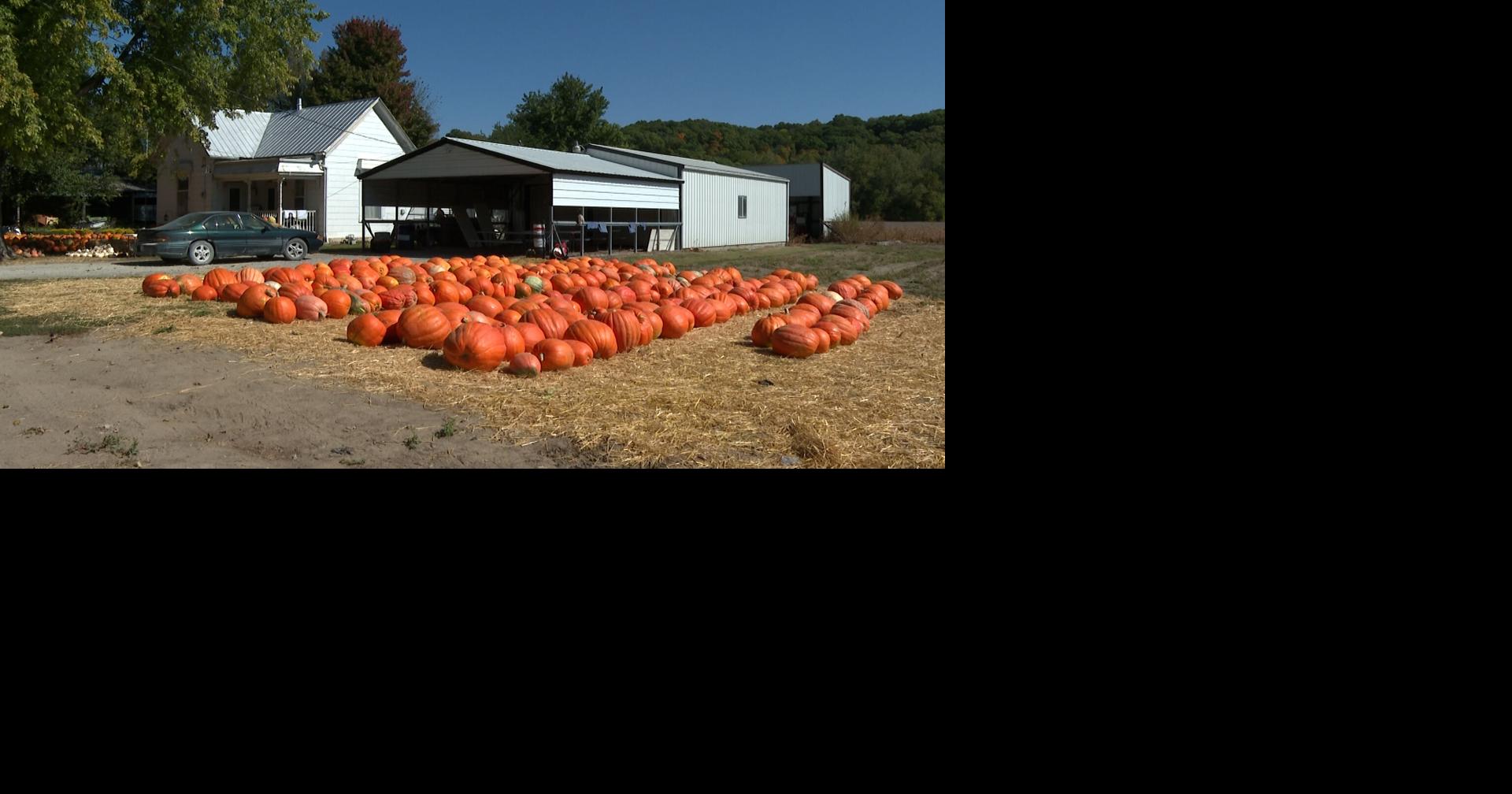 Hartsburg farmers expect a big turnout ahead of the annual Pumpkin