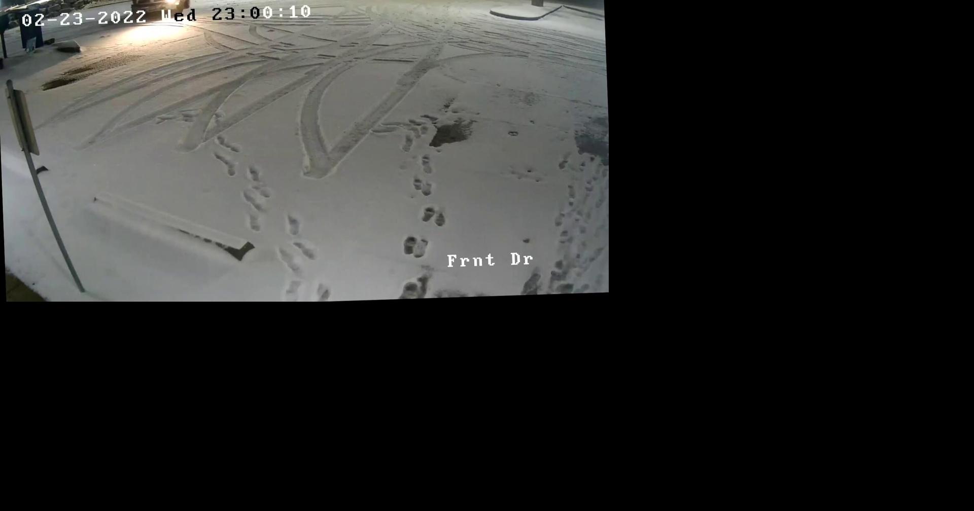 WATCH Truck crashes into Lake Ozark City Hall