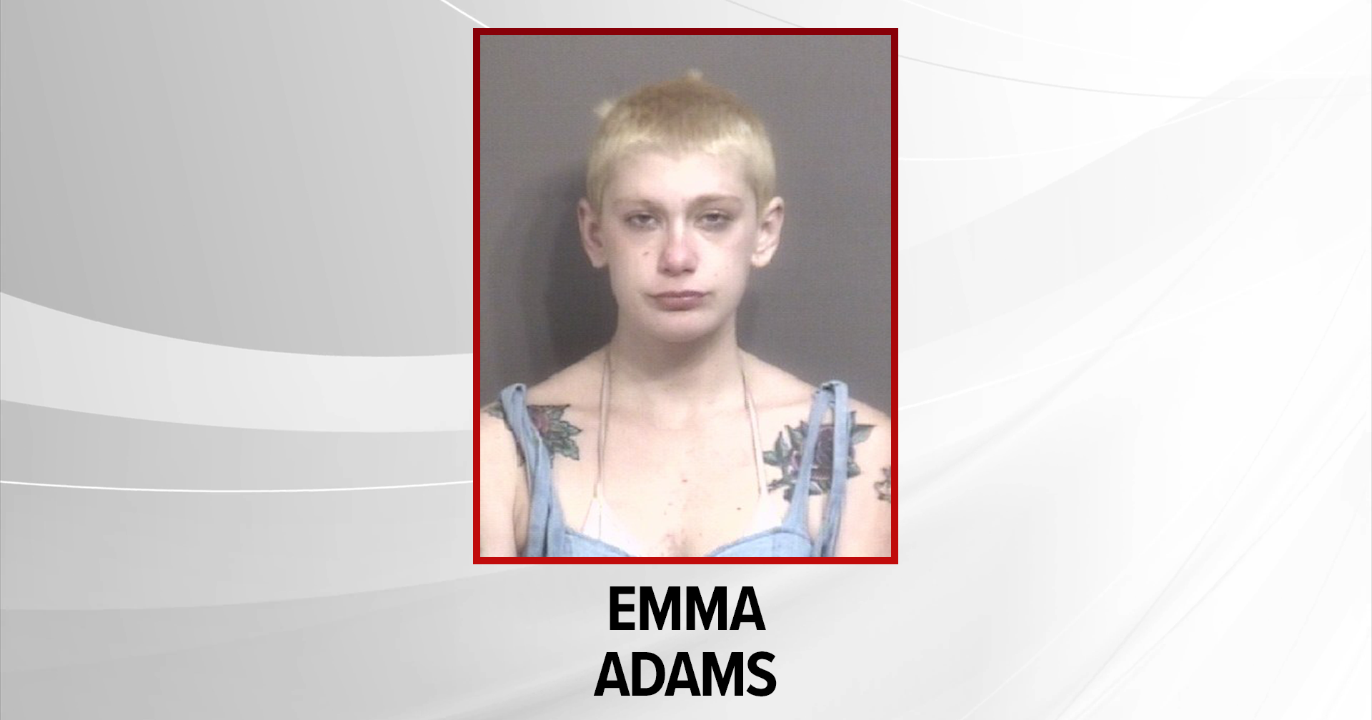 Attorneys for woman accused of killing MU student requests she be moved to mental health facility - Vimarsana News