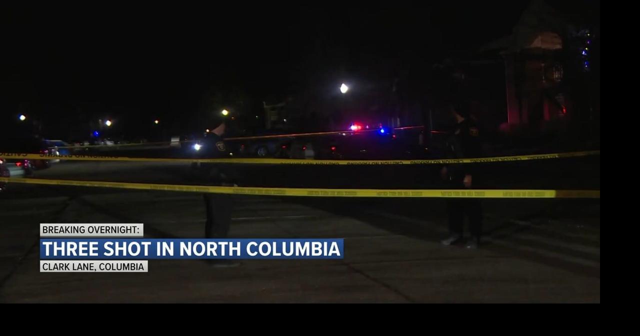 One dead, suspect identified in Clark Lane apartment shooting | News ...