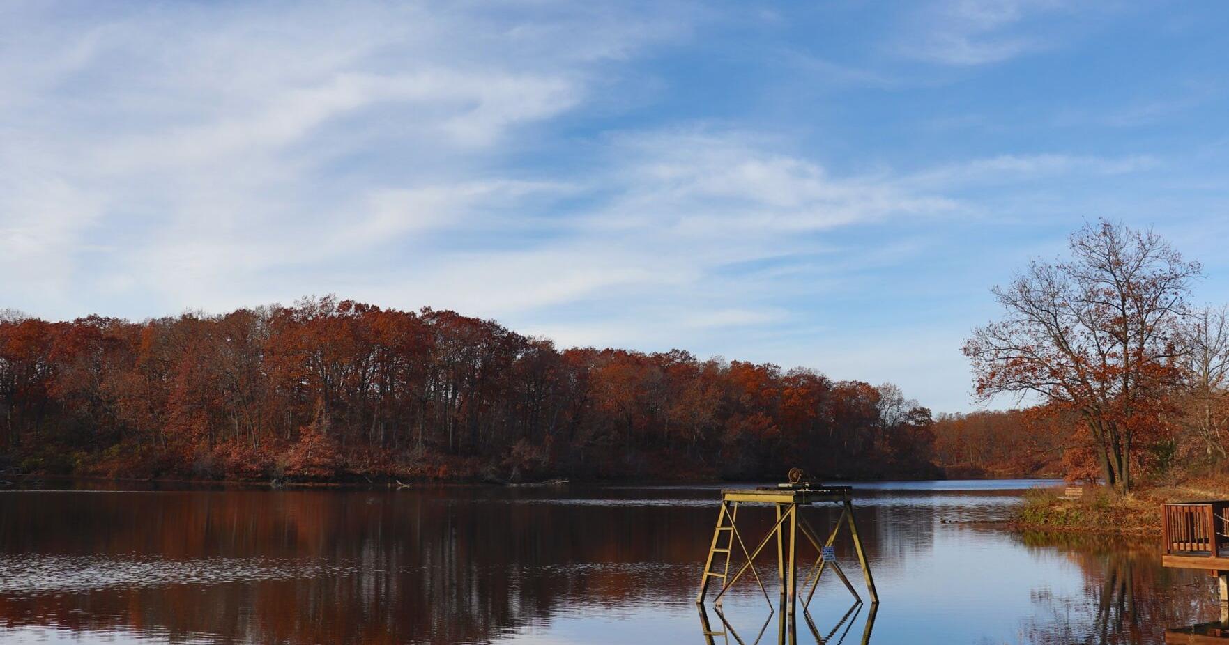 Rothwell Park to undergo lakeshore improvement project - Vimarsana News