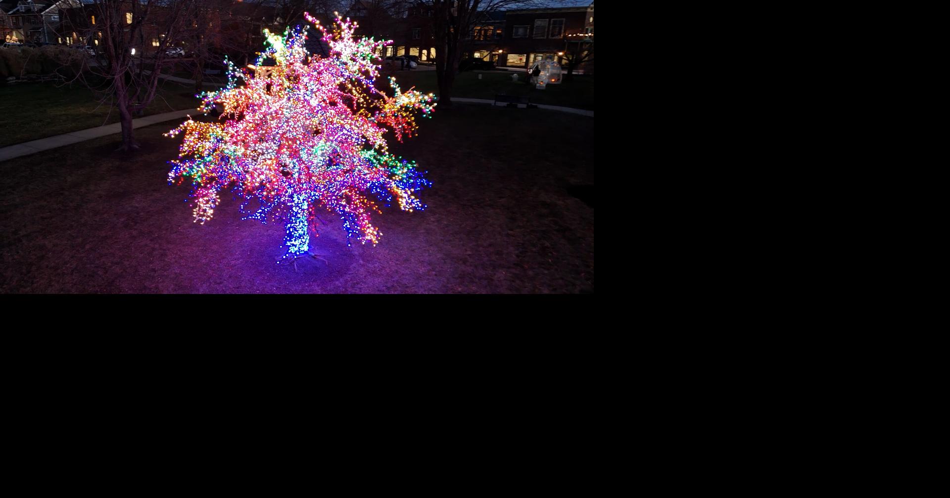 Cherry Hill welcomes new Magic Tree | Mid-Missouri News | komu.com