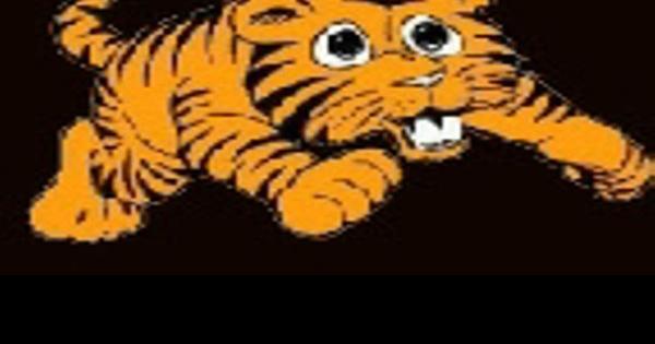 Car Crashes into Tiger Tots CDC Early Monday Morning News komu com