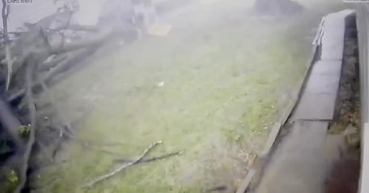 Heavy wind and rain Monday caused damage in Mexico