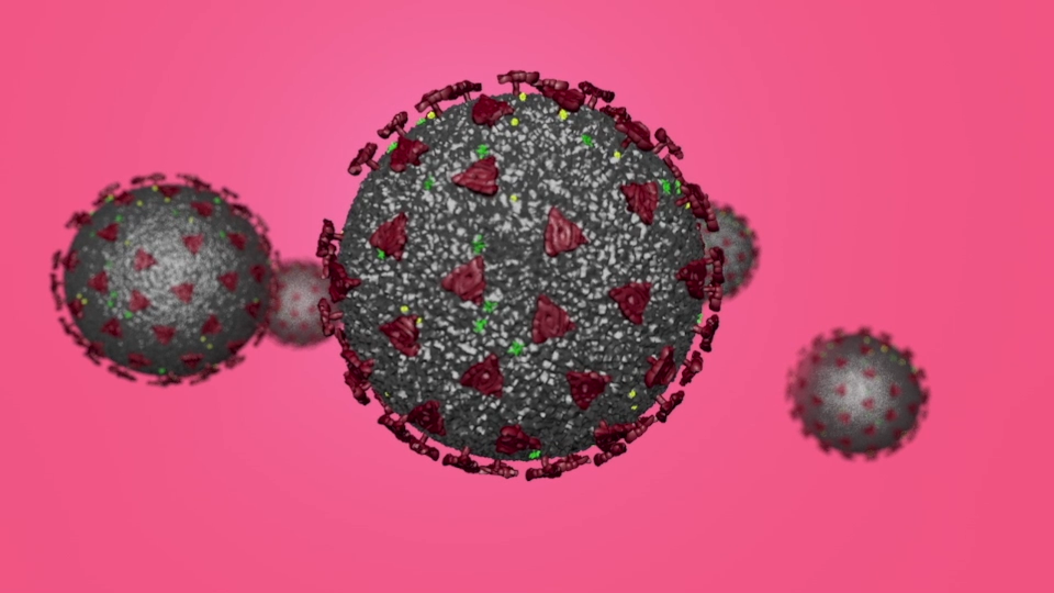 Vaccinologist explains science behind COVID-19 vaccines - Vimarsana News