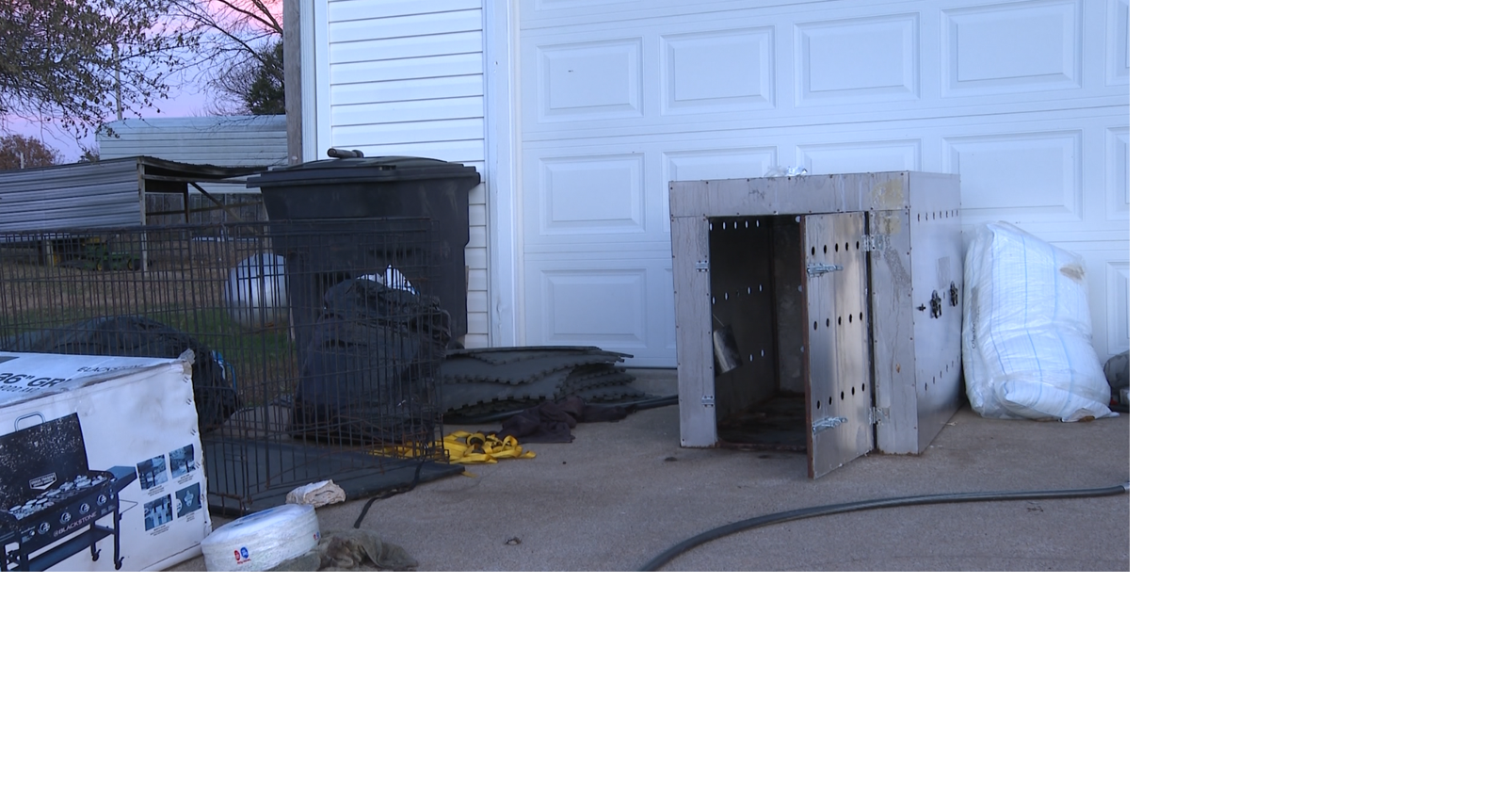 Nebraska woman says her dog died in care of Boone County woman accused of animal abuse