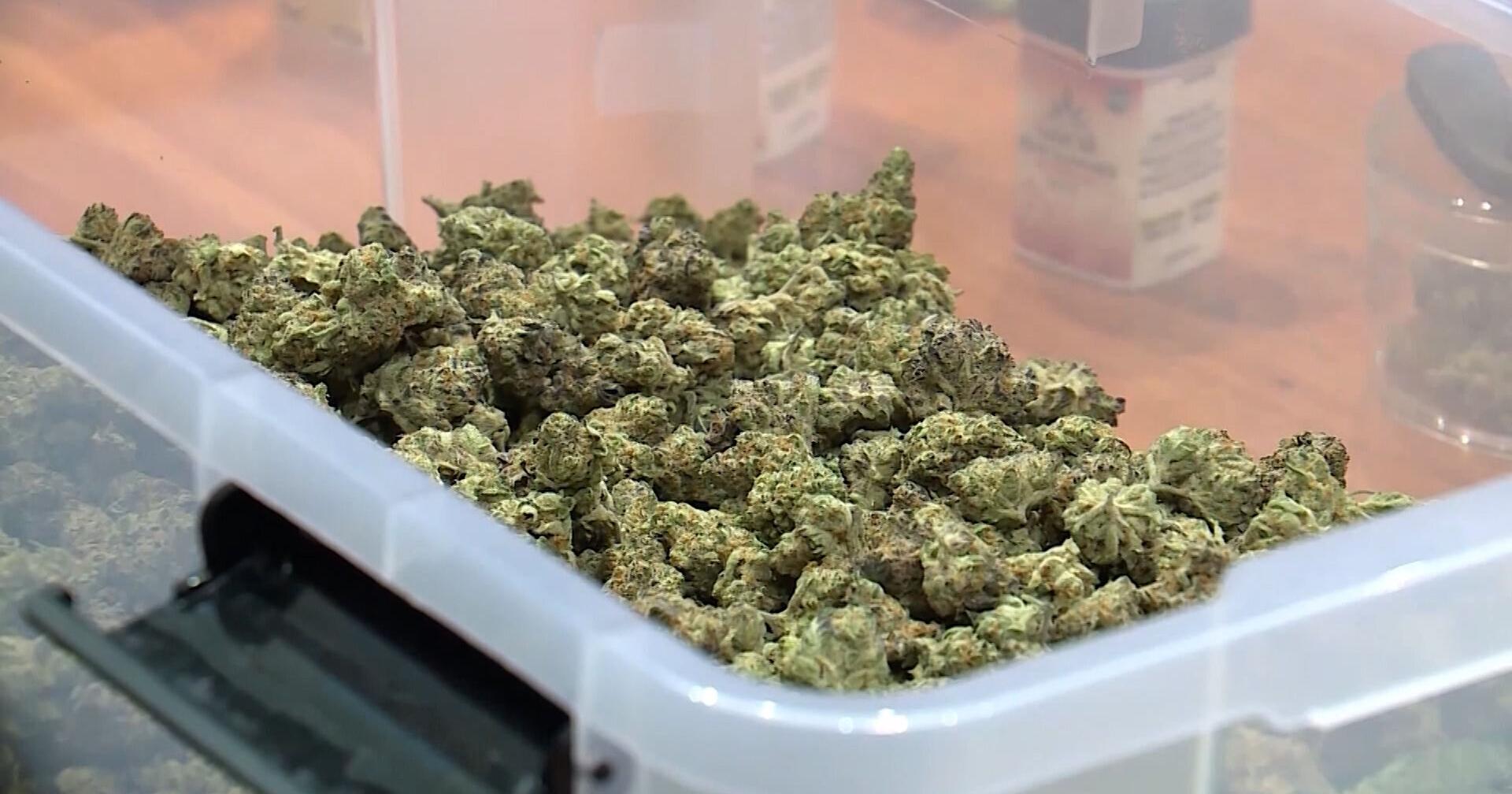 State revokes two local dispensary microbusiness licenses - Vimarsana News
