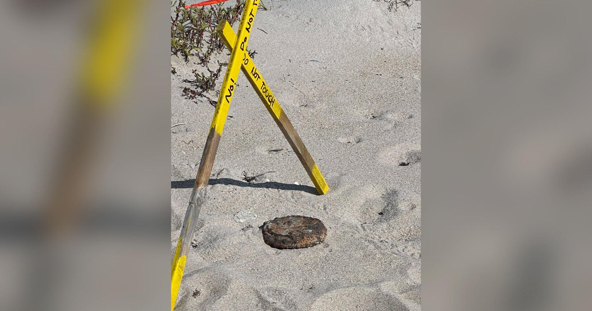 A suspected land mine was removed from a Florida beach - Vimarsana News