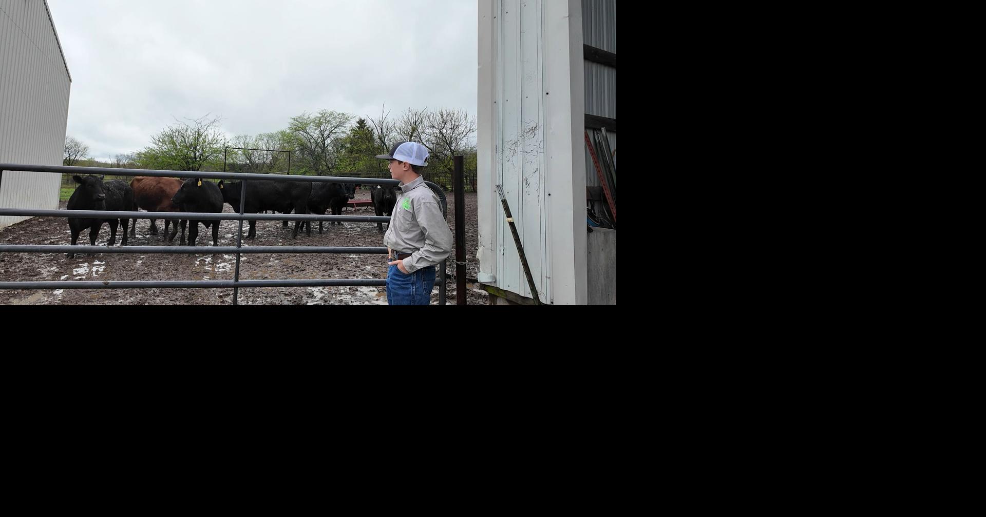 Missouri kids are stepping up to take over their family farms