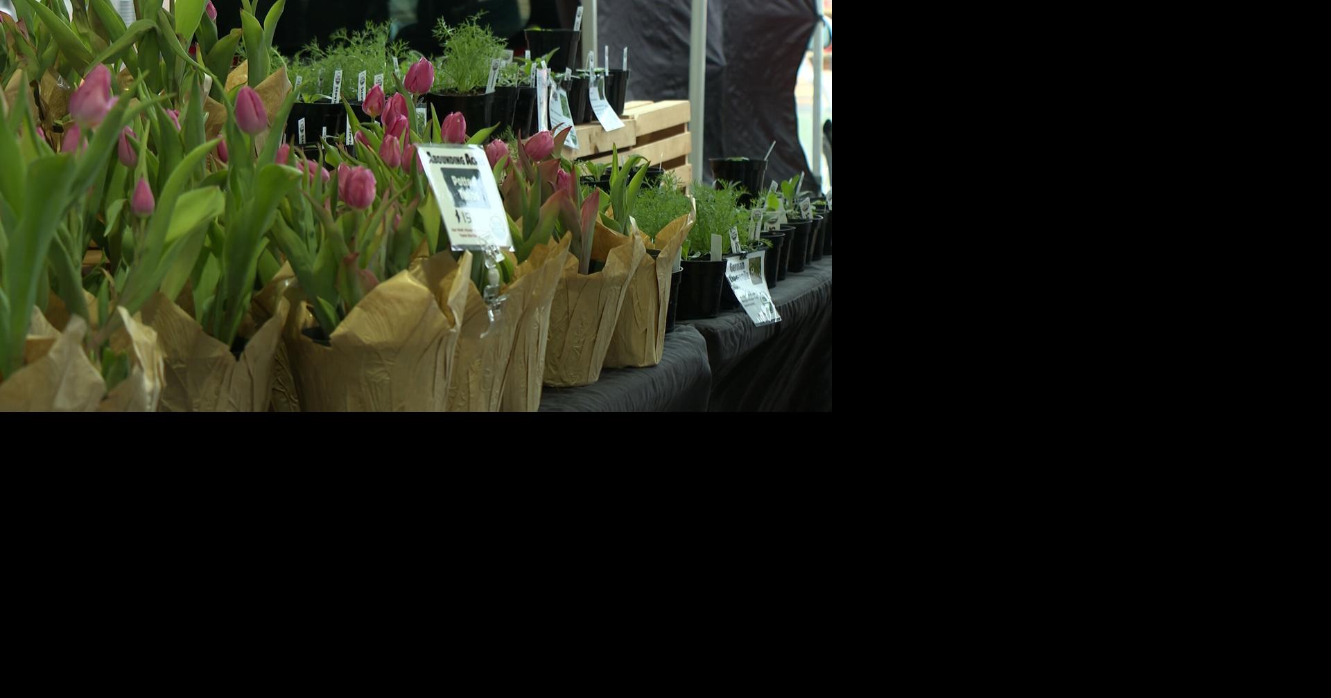 Columbia Farmers Market's spring kickoff brings largest crowd in years