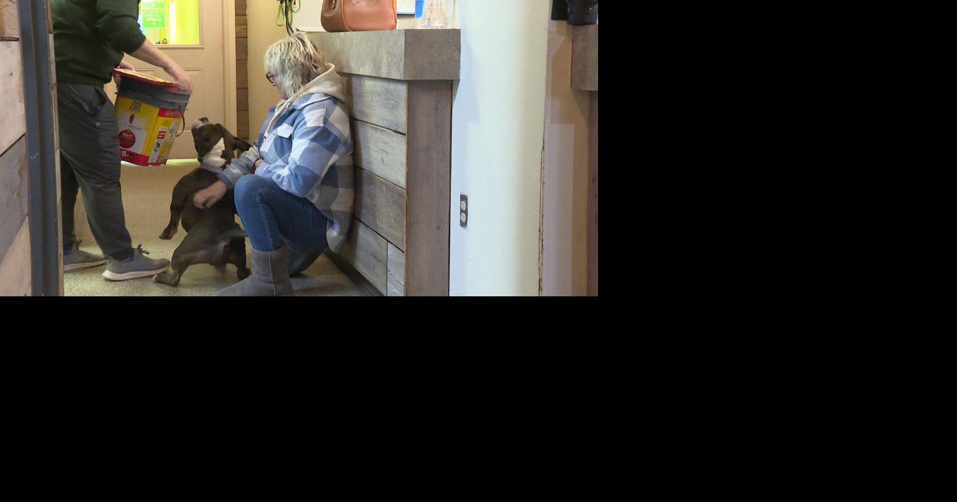 Central Missouri Humane Society places pets in homes for snowy weekend