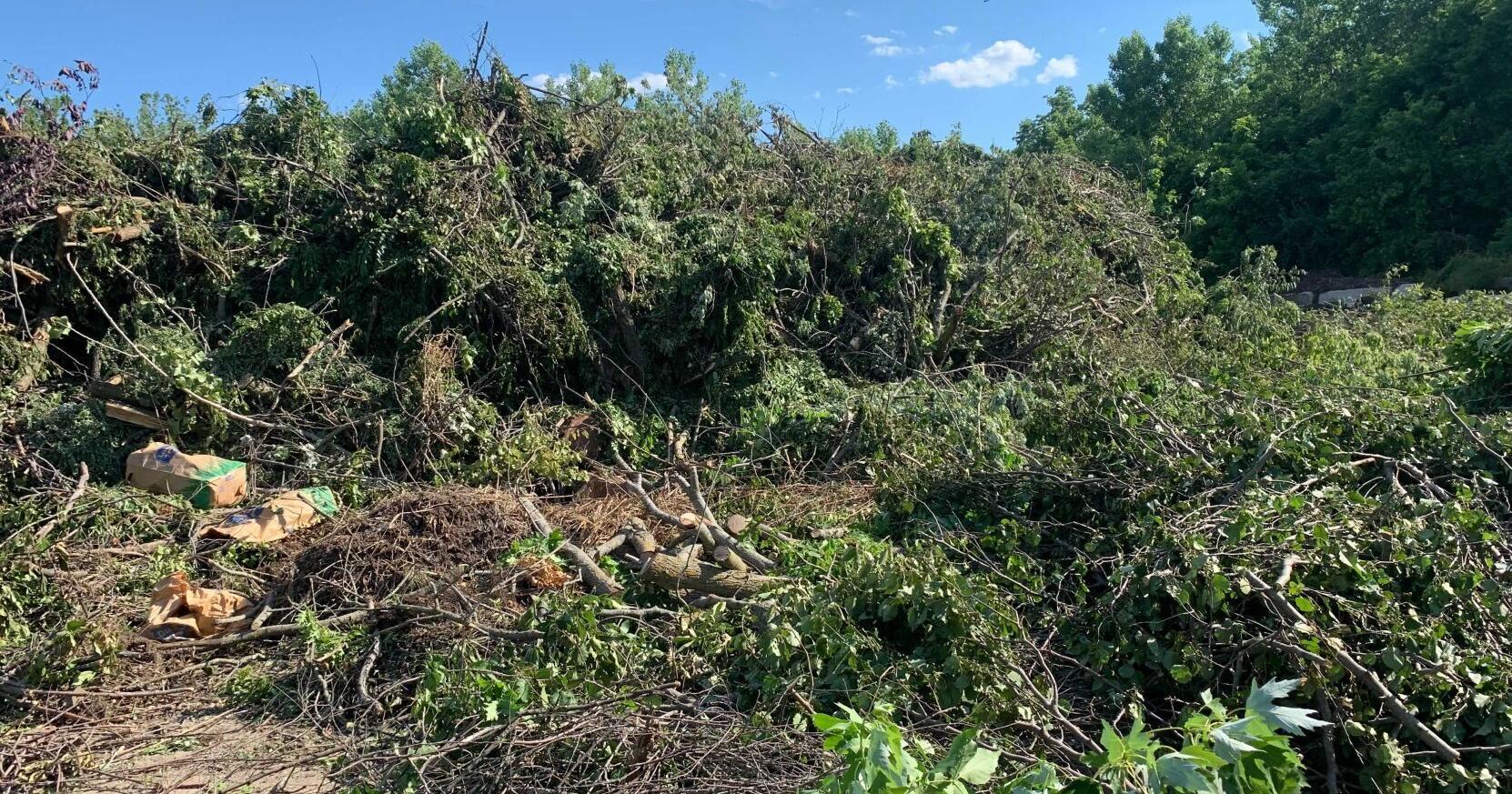 Capen Park Drive and yard waste site reopens ahead of schedule - Vimarsana News