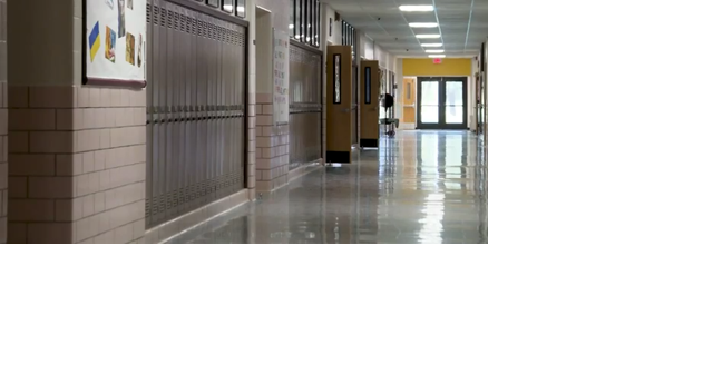 Senate bill that would restrict diversity curriculum heard in House committee - Vimarsana News