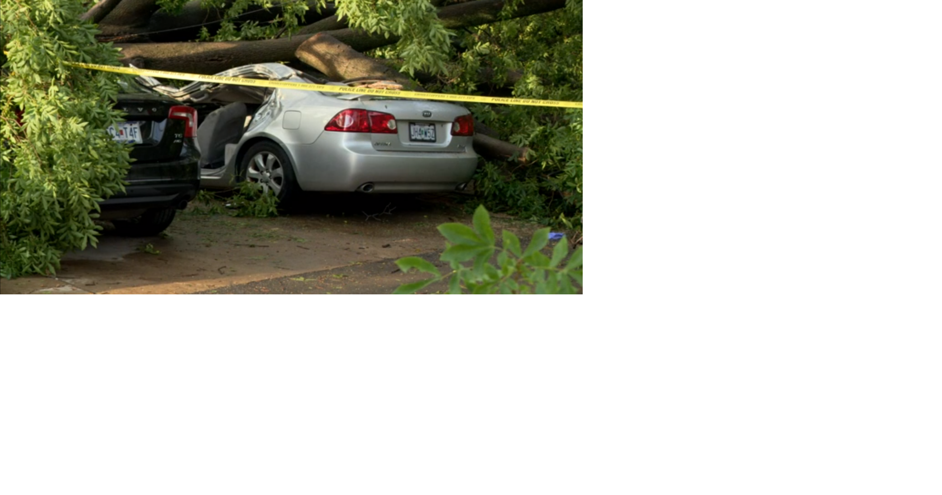 Woman dies after tree falls on her car during Saturday’s severe weather ...