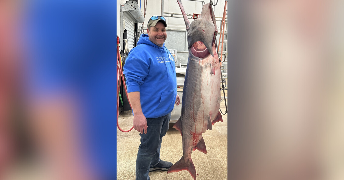 World-record paddlefish caught at Lake of the Ozarks | Mid-Missouri ...