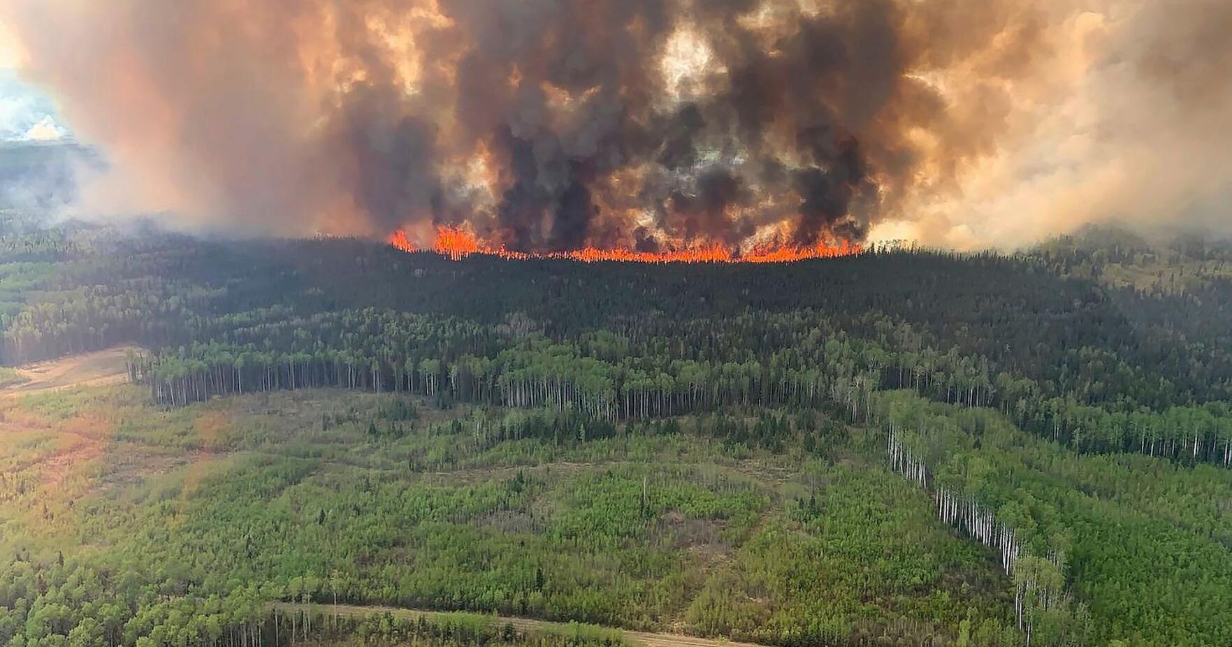 State Farm stops home insurance sales in California, citing wildfire risks - Vimarsana News