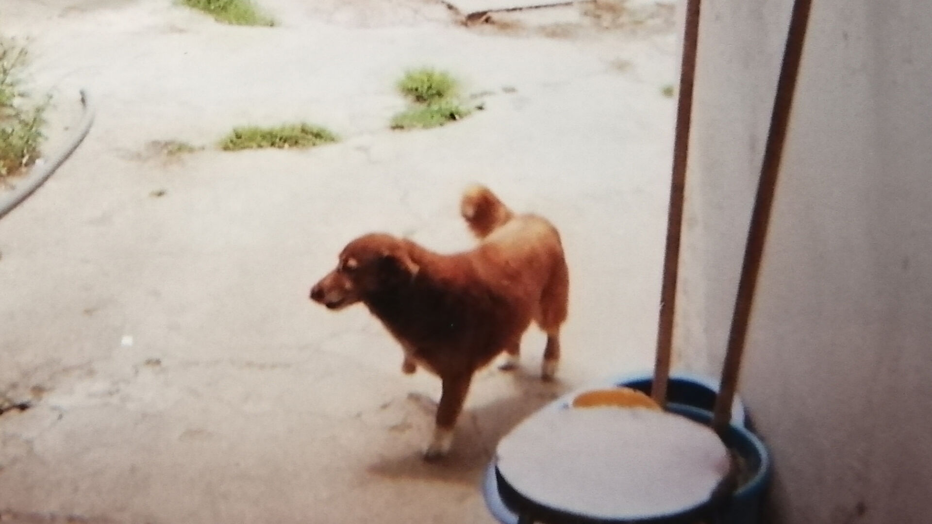 63dd29cf9c971.image.jpg?crop=