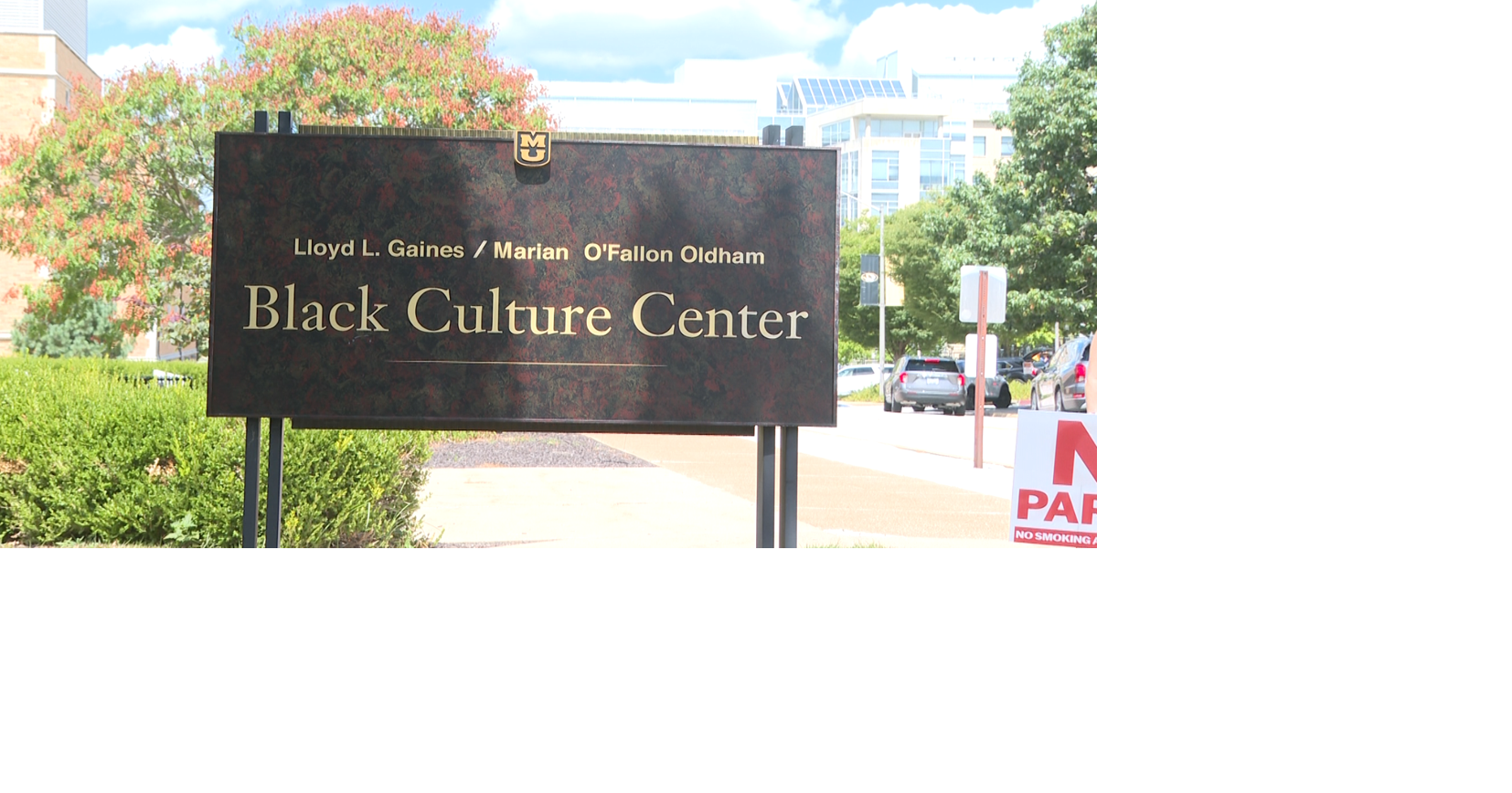 University Cancels Block Party, Faces Backlash from Black Groups