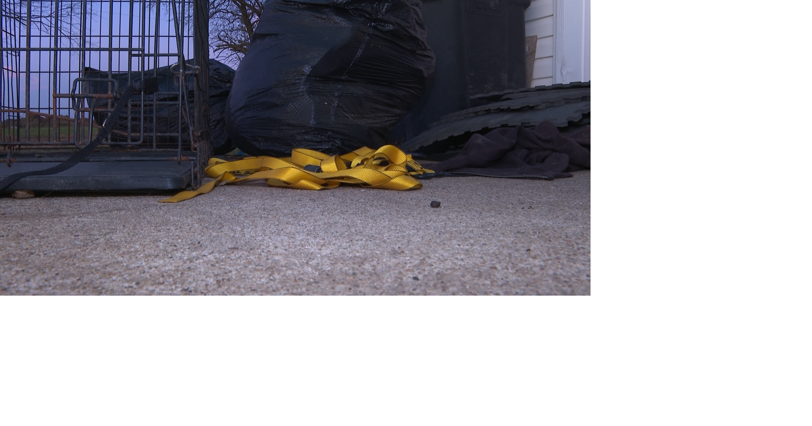 Humane Society will keep custody of dogs rescued from Boone County breeder, judge rules