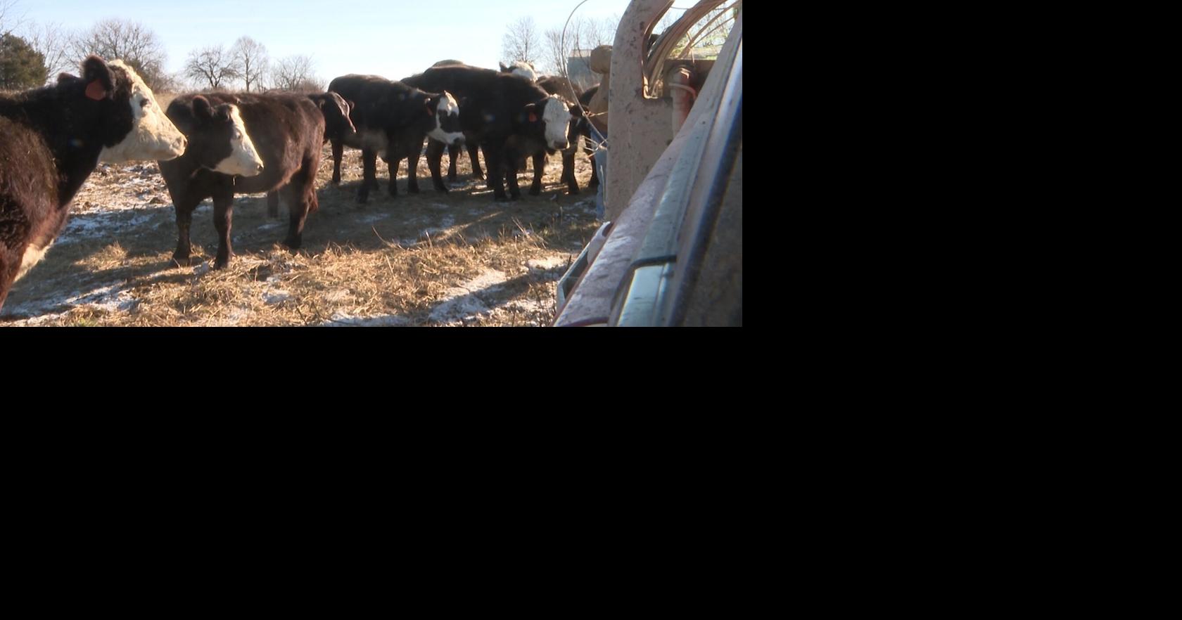 Missouri lawmakers hear debate over country-of-origin meat labeling