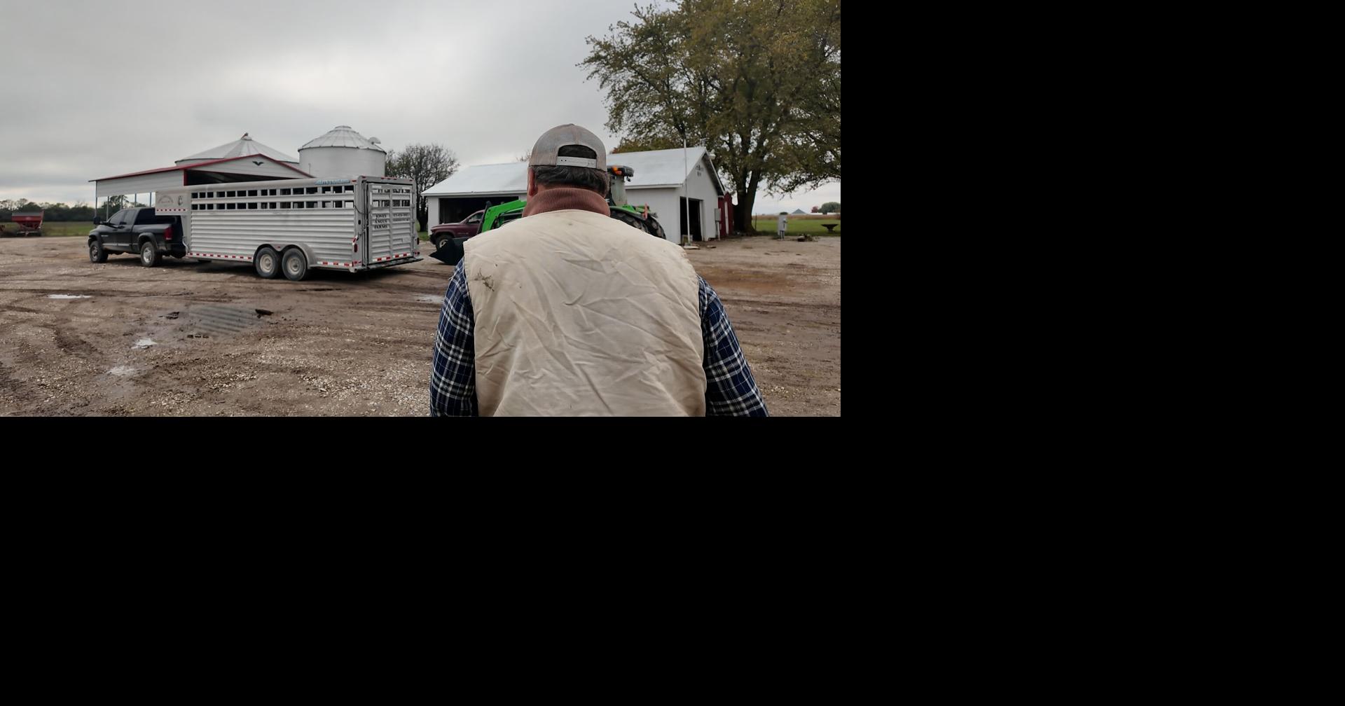 Mid-Missouri beef farmers are wary of Trump's plan to buy beef from Argentina