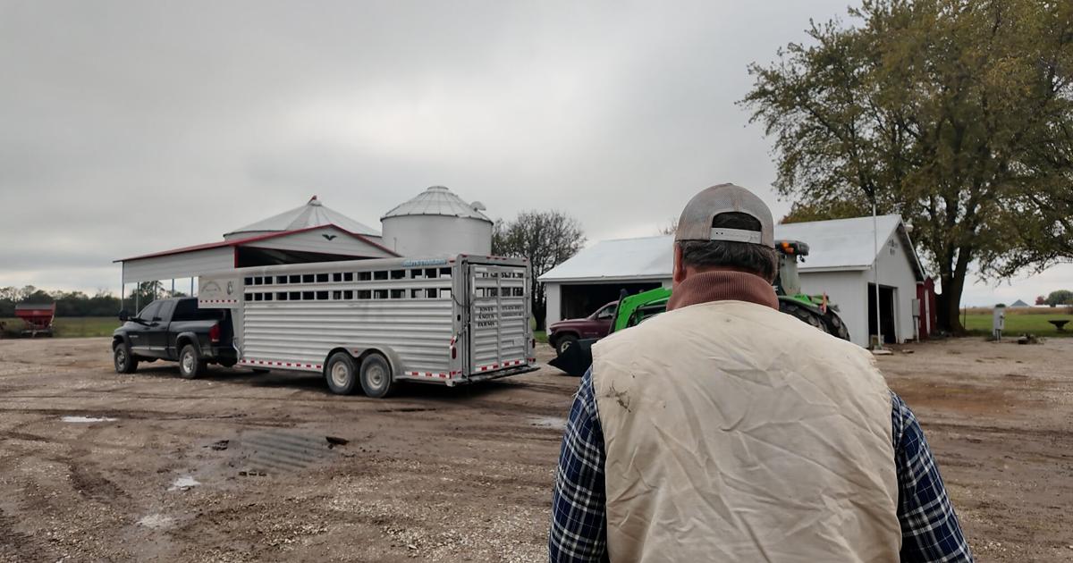 Mid-Missouri beef farmers are wary of Trump's plan to buy beef from Argentina