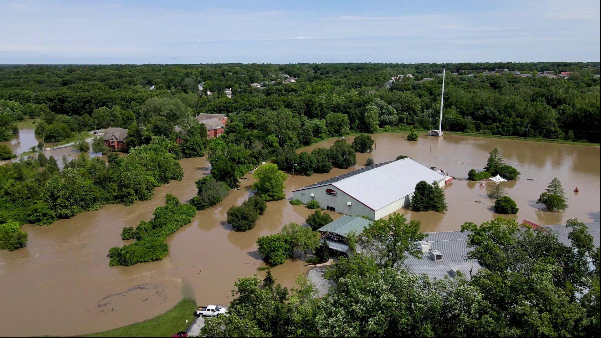 big tree columbia mo flooding