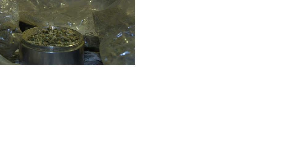 Voters to decide on legalizing recreational marijuana with Amendment 3 - Vimarsana News