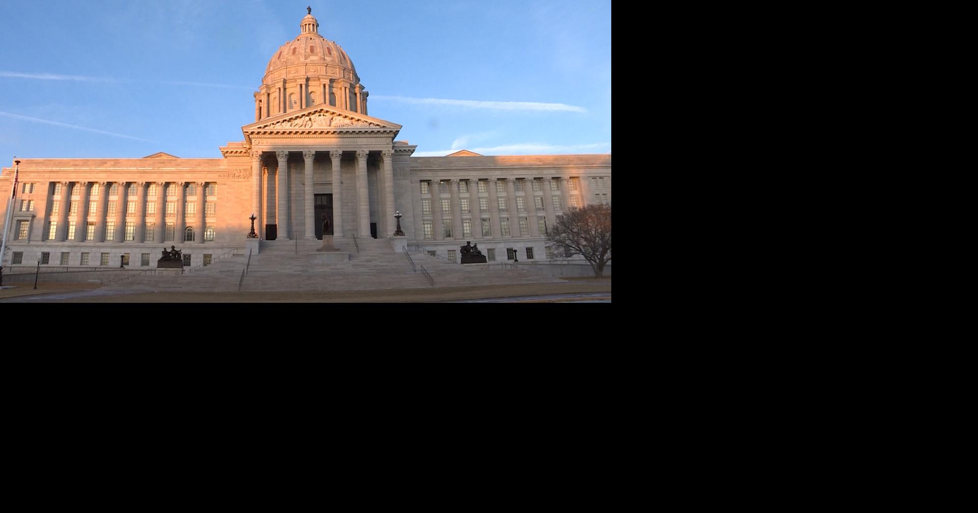 Missouri group seeks change to family courts and guardian ad litem laws