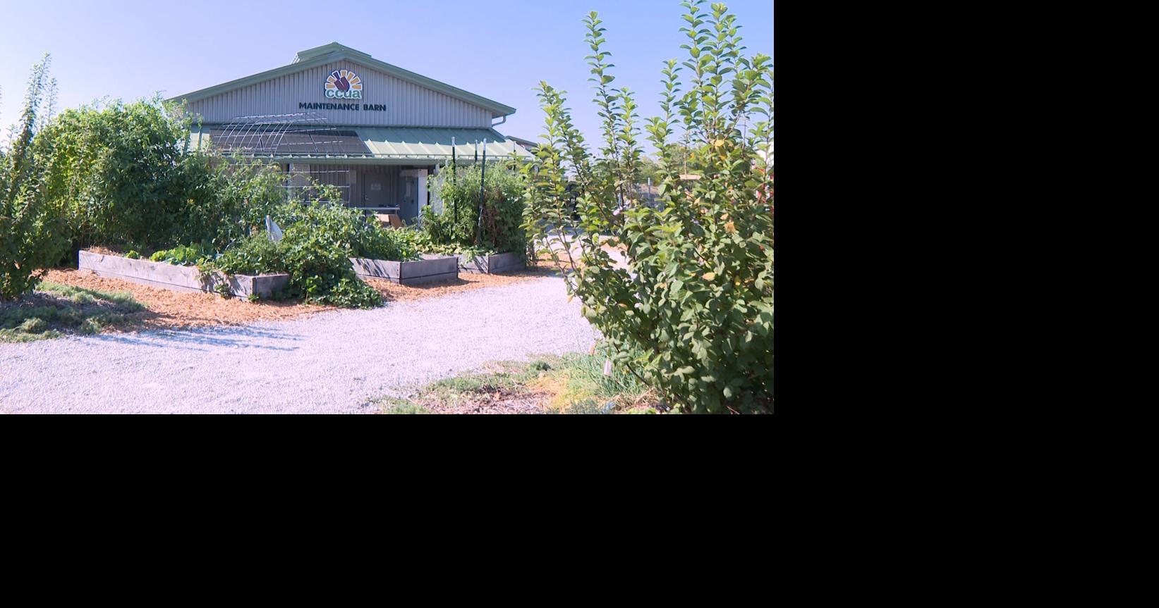 CCUA, Food Bank benefit from state's food insecure grant | Mid-Missouri ...