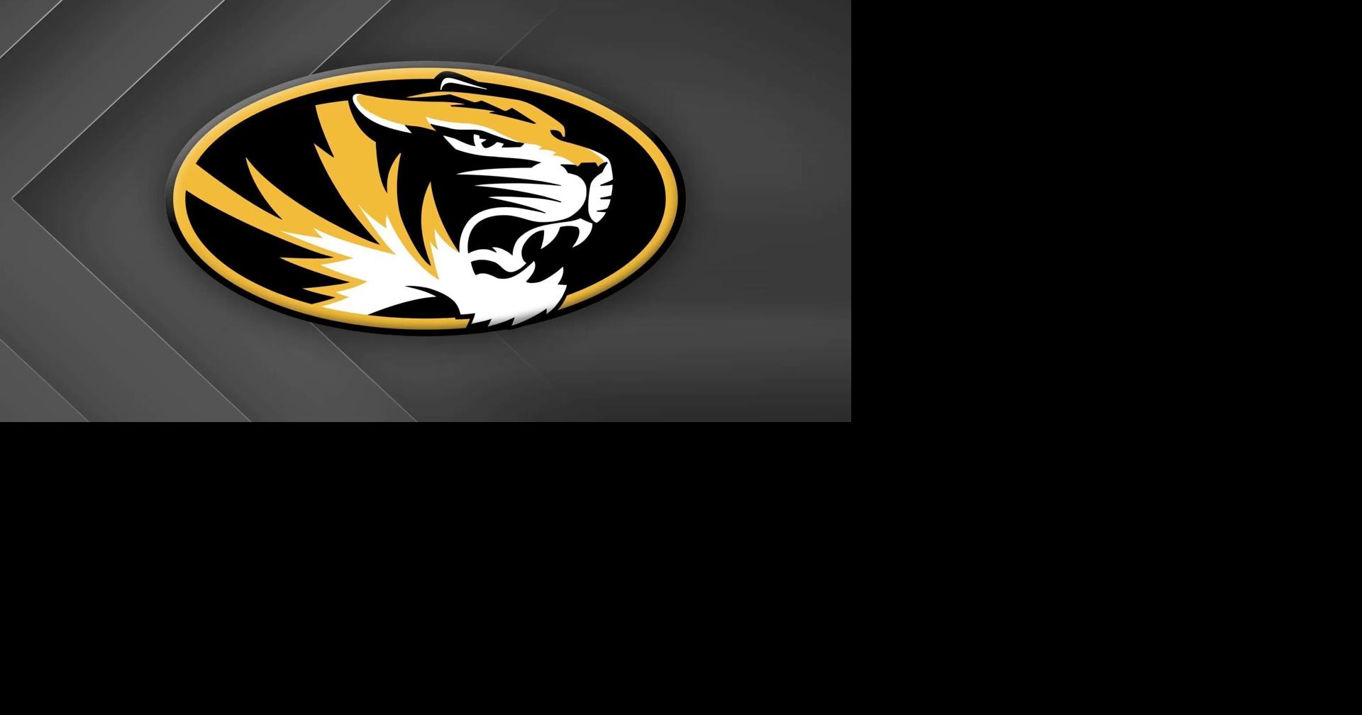 Mizzou women's basketball drops midweek contest at No. 3 South Carolina