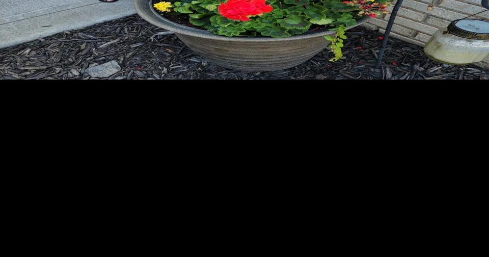 Mornings can be full of surprises