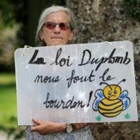 France strikes down return of banned bee-killing pesticide