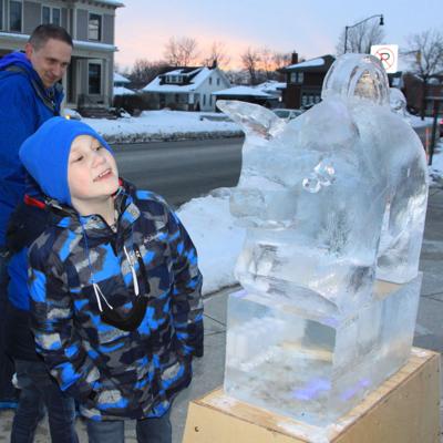 Ice sculpture admirer
