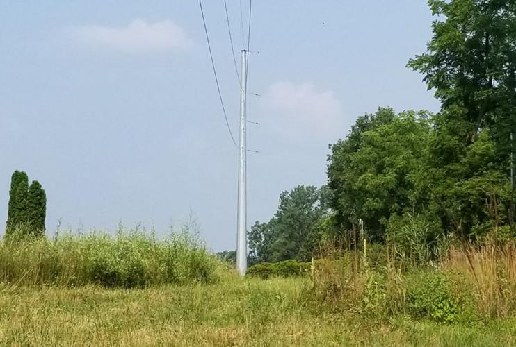 Proposed 20-mile high-voltage power line sparks outrage in Southwest  Michigan 