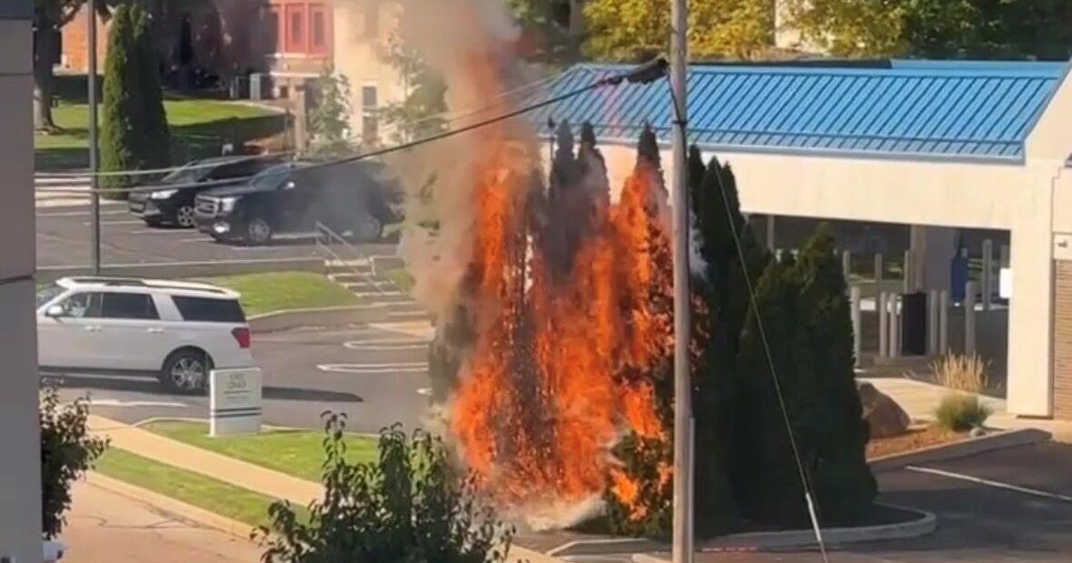 Trees burn close to bank