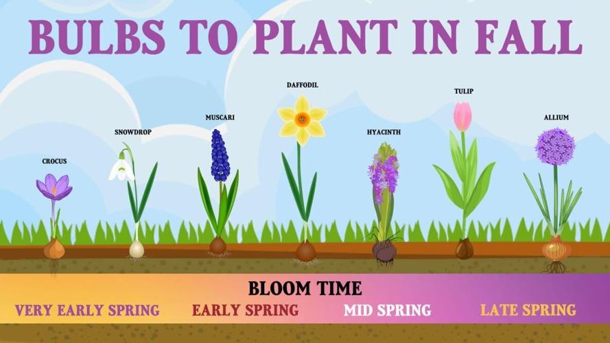 The Earliest-Blooming Spring Bulbs