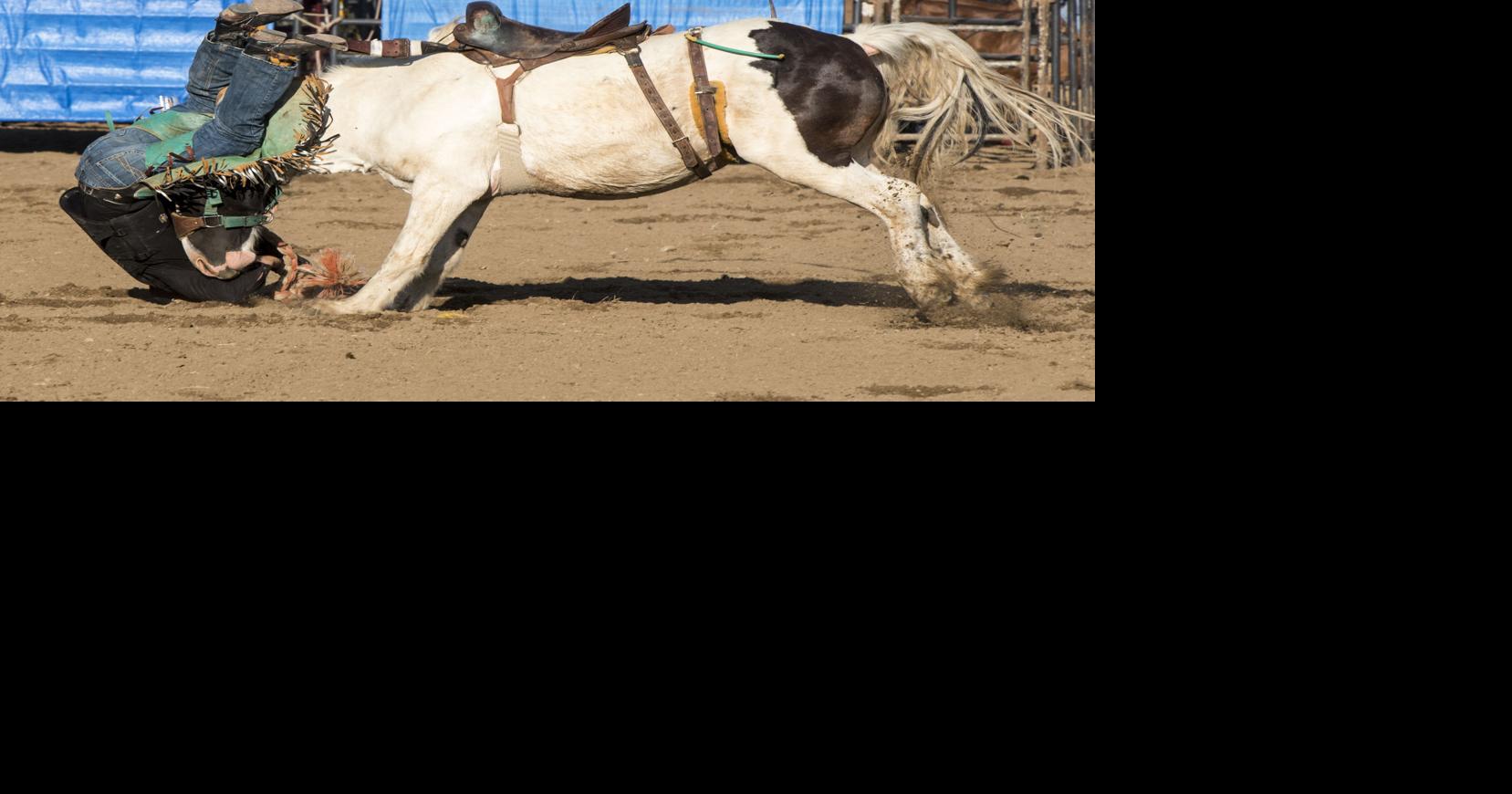 LaGrange County 4-H fair back on track | News Sun | kpcnews.com