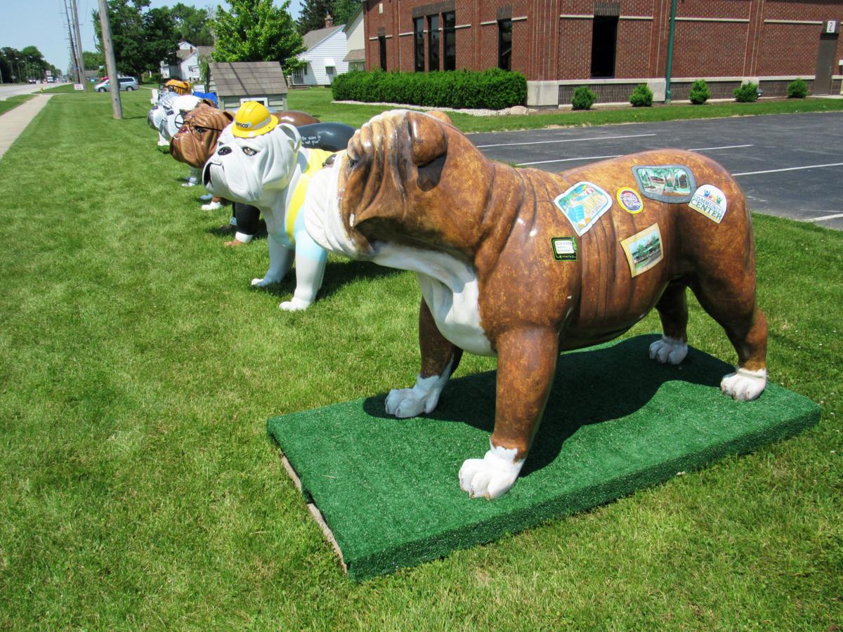 New Haven Bulldog Project Infortwayne Kpcnews Com