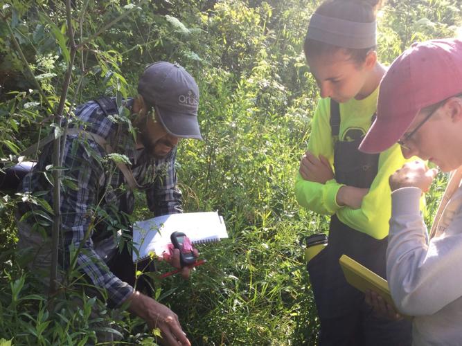 ACRES summer interns managing land with spirit | Outdoors | kpcnews.com