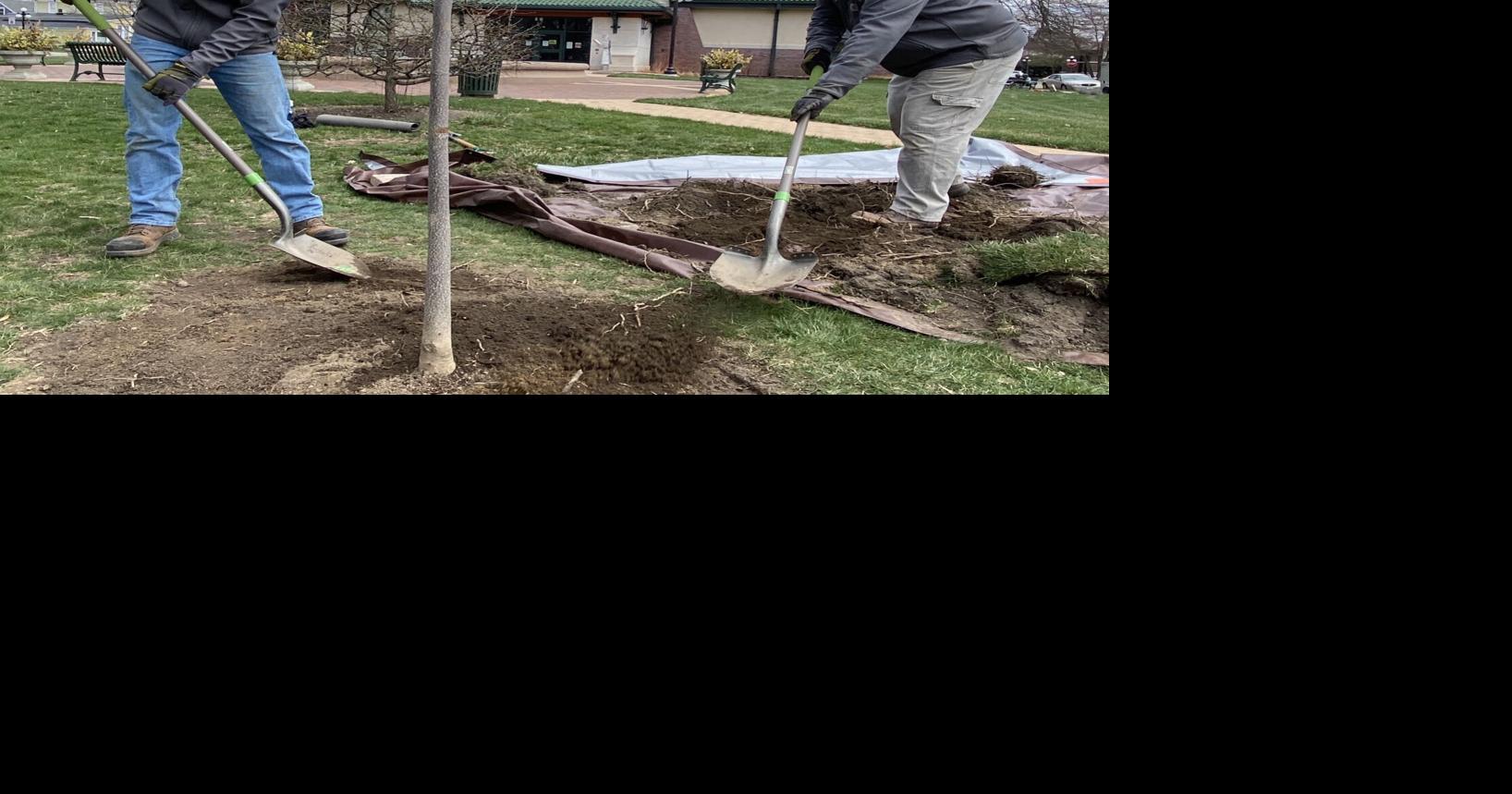 Sustainable landscaping coming to library park | Thestar | kpcnews.com