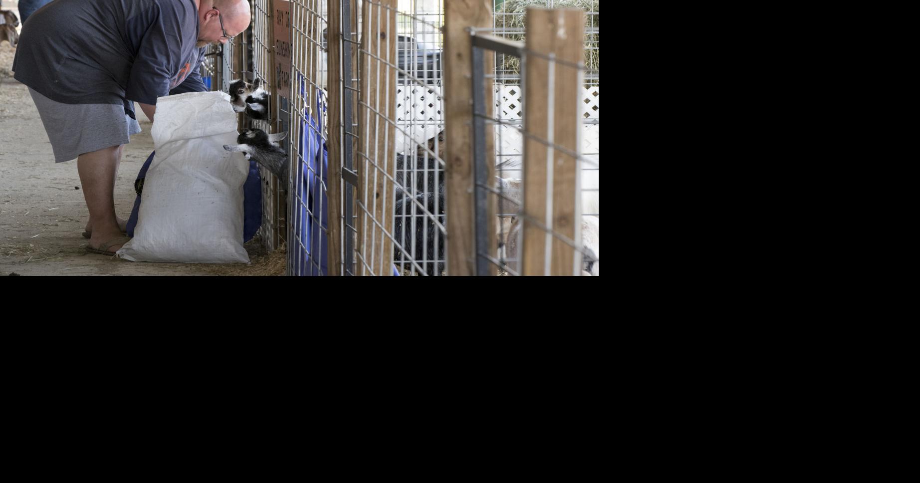 LaGrange County Fair 2017 Photo Galleries