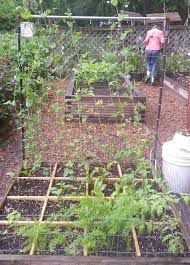Grid system for raised beds