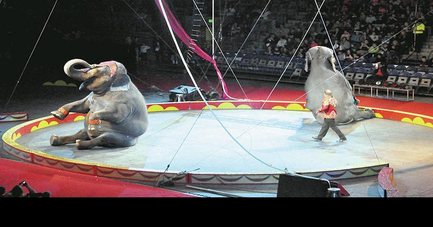 Area students spend day at Shrine Circus | News | kpcnews.com